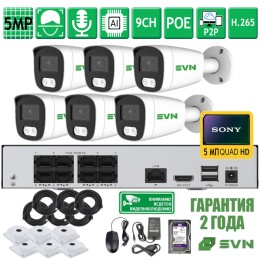 Комплект на 6 камер с матрицами SONY 5Мп SVN Сапфир-500SBC6